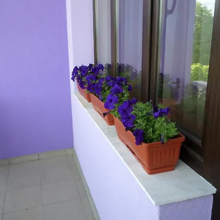 Guest house Monelli 5 2*
