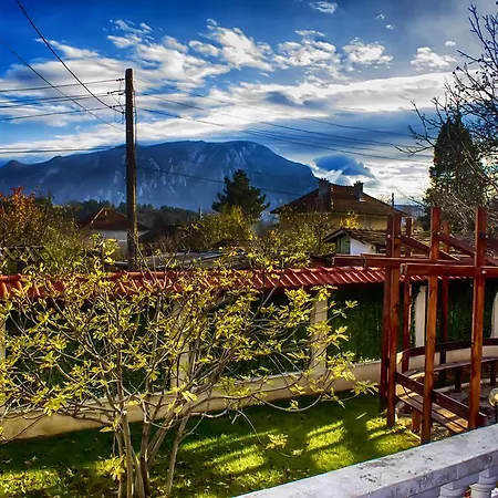 Monelli 5 Guest house