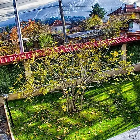 Guest house Monelli 5